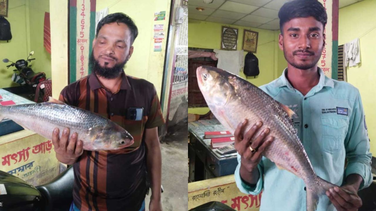 ৮০ পিস ইলিশ বিক্রি হলো দুই লাখ ১৯ হাজার টাকায়